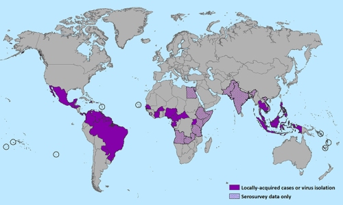 Currently known distribution of the Zika virus in humans. Map of the United States Centers for Disease Control and Prevention.