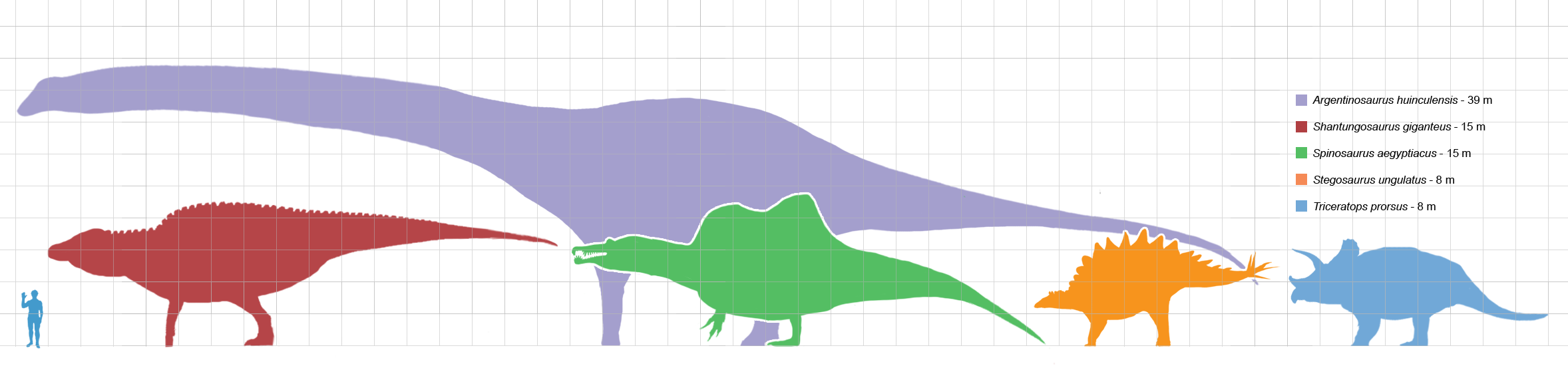 largestdinosaursbysuborder_scale